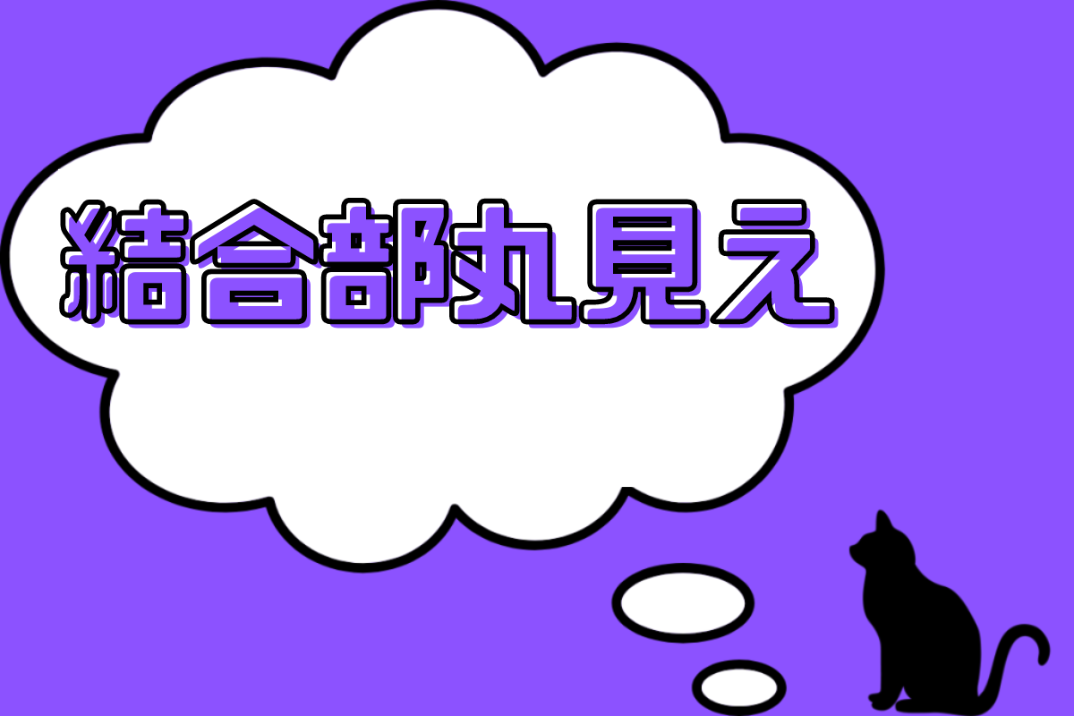 結合部丸見え