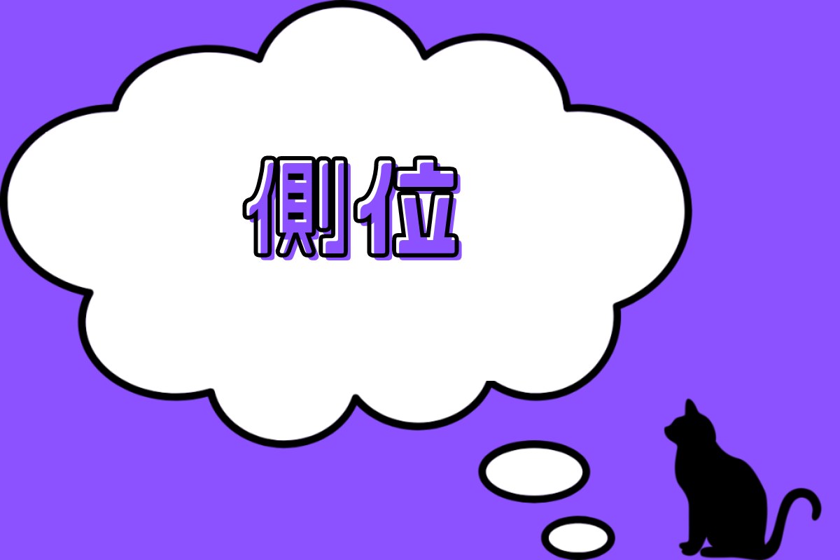 側位