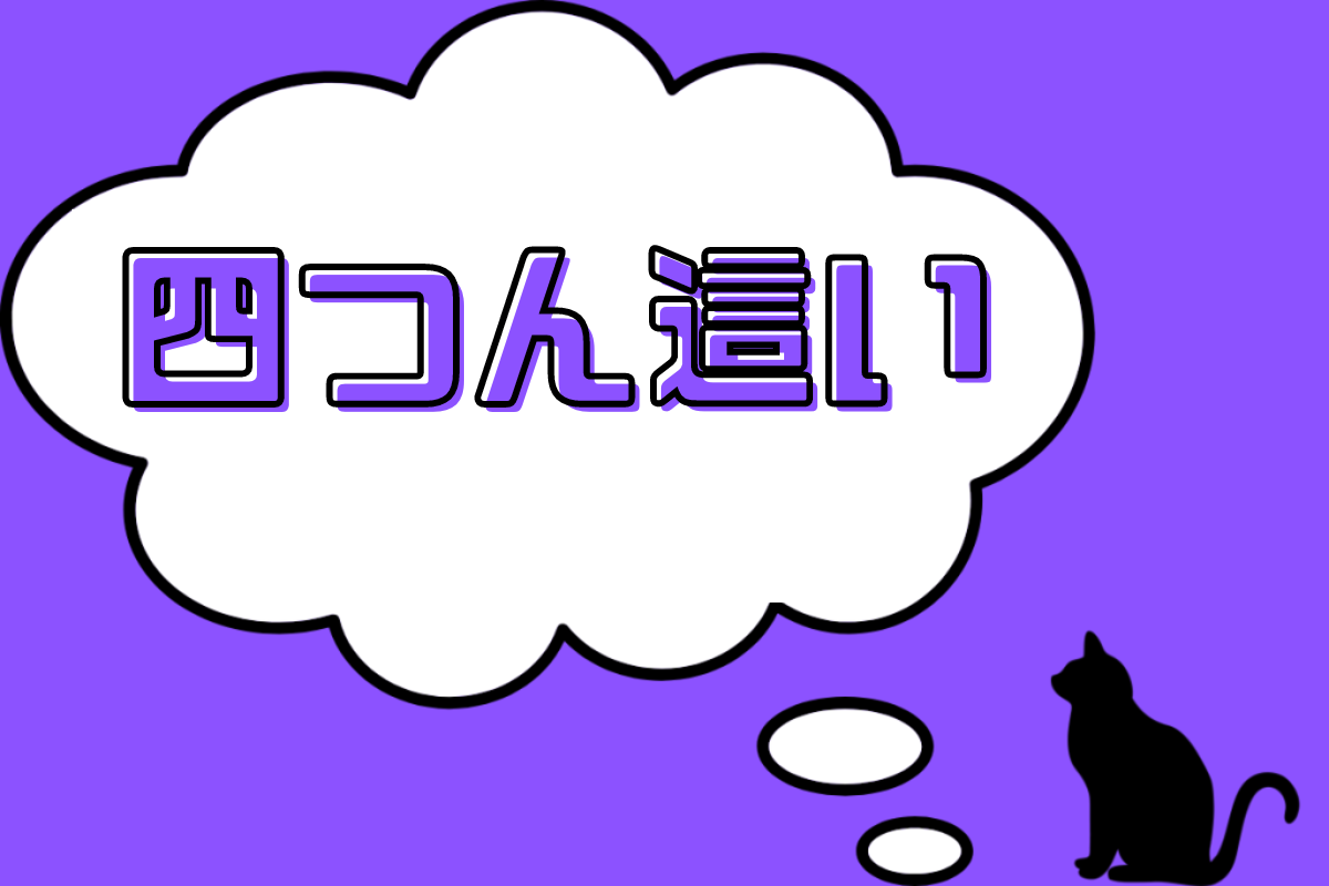 四つん這い